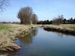 Gewässerstrukturverbesserungen in der ausgebauten Schmutter bei Batzenhofen