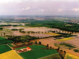 Riedstrom beim Pfi ngsthochwasser 1999