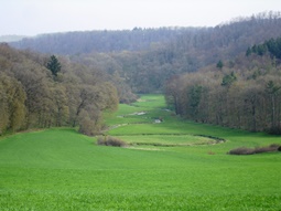 naturnaher Lauf im Landschaftgsschutzgebiet Kesseltal bei Fronhofen