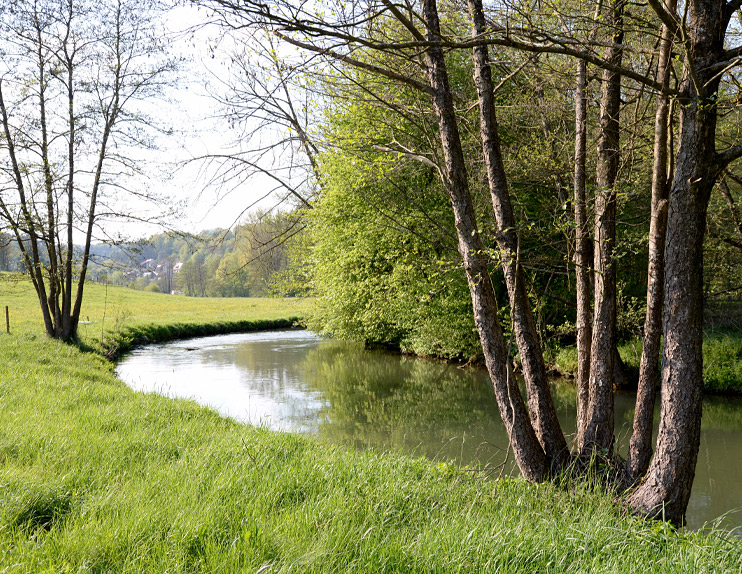 Das Bild zeigt einen See