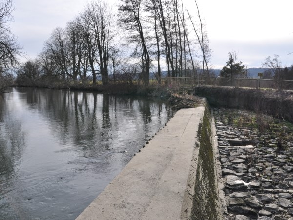 Teilungswehr südlich von Burtenbach