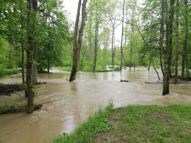 Reaktivierung der Auwälder zur Förderung der Biodiversität und des natürlichen Hochwasserrückhalts (Foto: WWA DON)
Reaktivierung der Auwälder zur Förderung der Biodiversität und des natürlichen Hochwasserrückhalts (Foto: WWA DON)