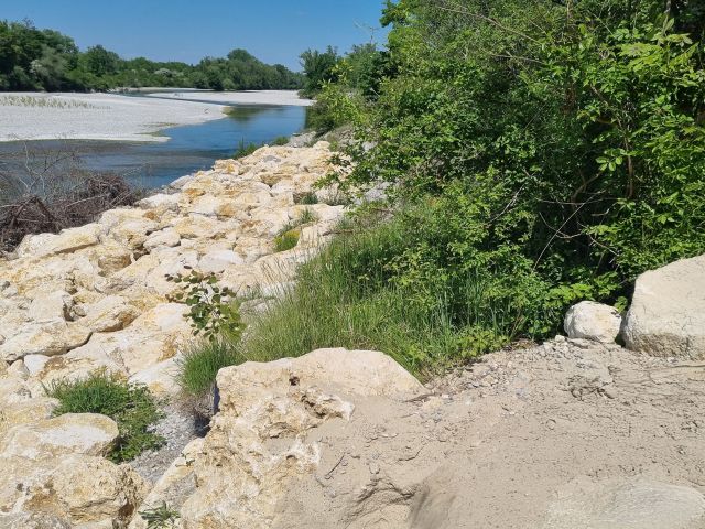 Zauneidechsen finden hier ein sonniges, sandiges Ersatzhabitat: Der aufgeweitete Bereich auf Höhe des Flusskilometers 33,5 wurde aufgrund ufernaher Strommasten mit Wasserbausteinen gesichert. Zauneidechsen finden hier ein sonniges, sandiges Ersatzhabitat: Der aufgeweitete Bereich auf Höhe des Flusskilometers 33,5 wurde aufgrund ufernaher Strommasten mit Wasserbausteinen gesichert.
