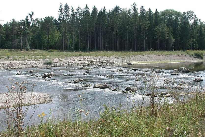 Sohlrampen ermöglichen die Durchgängigkeit für Tiere und Geschiebe