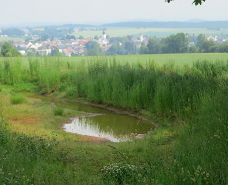 Link zur Seite Hochwasserschutz Senden/Freudenegg