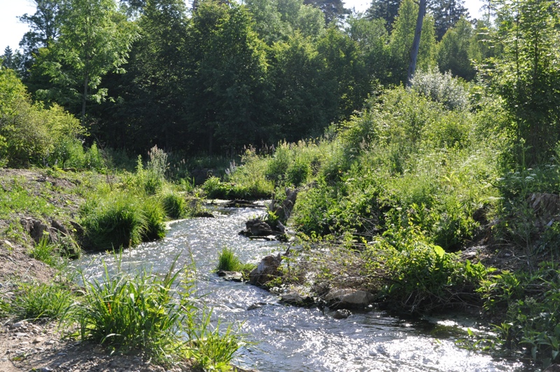 Umgehungsgerinne an der Staustufe Inningen Umgehungsgerinne an der Staustufe Inningen