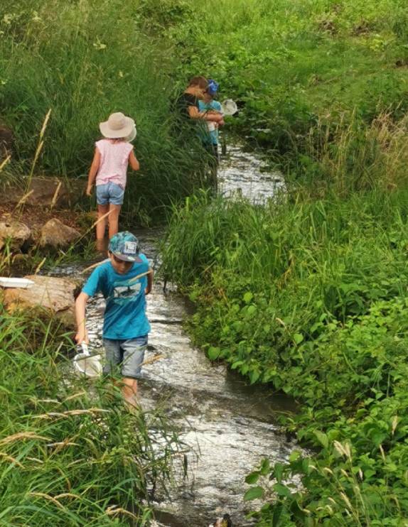 Link führt zur Seite Wasser erleben