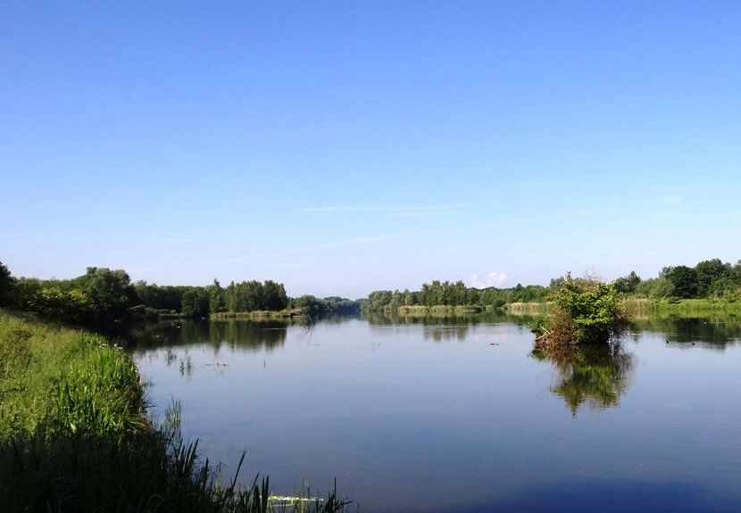 Die Donau