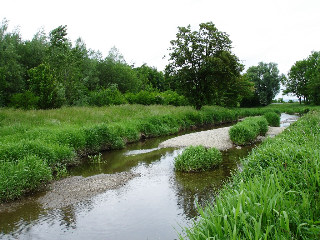 Der Egelseebach