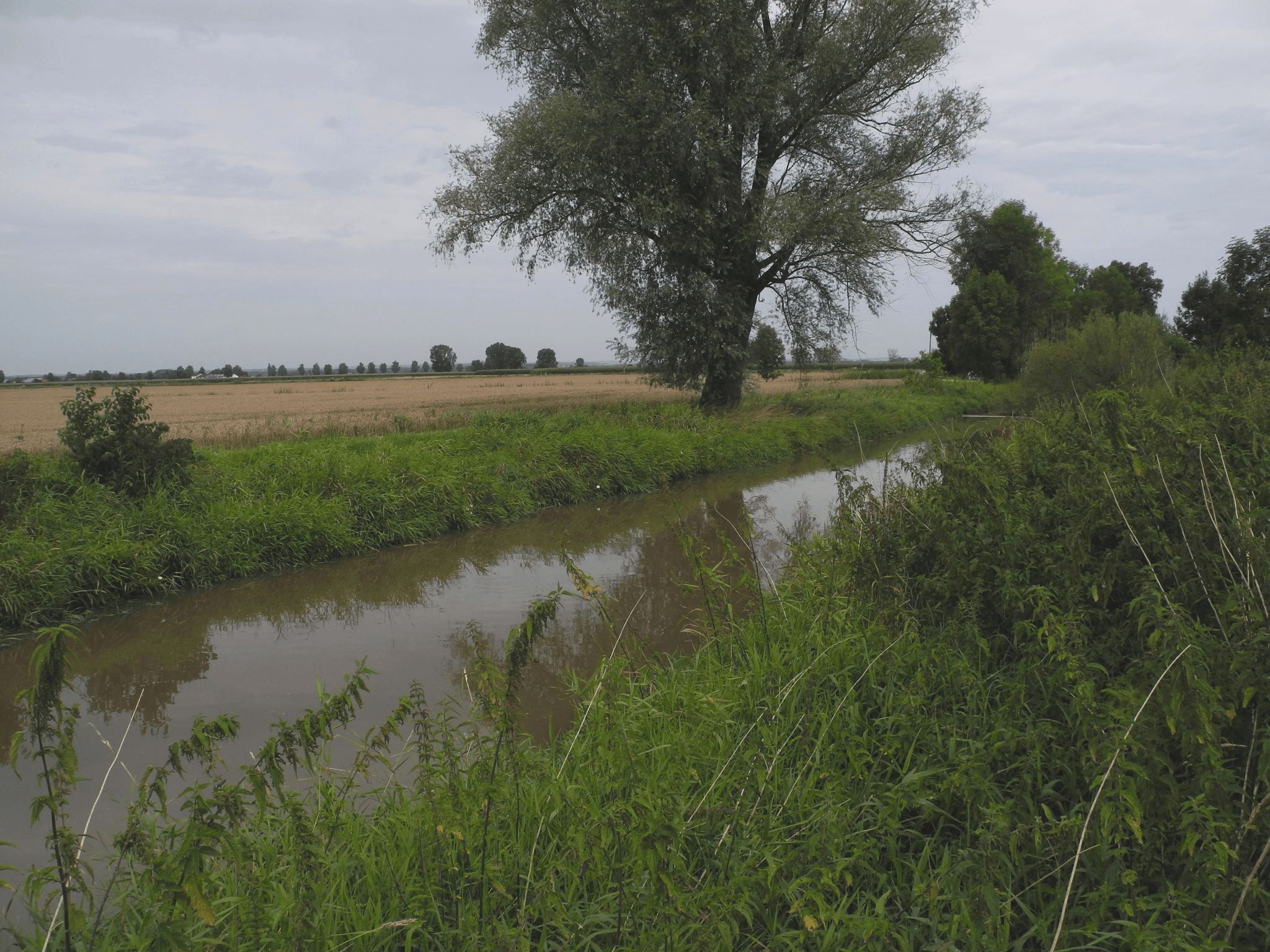 Die Glött