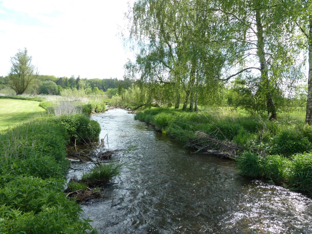 naturnaher unbegradigter Abschnitt der Roth mit einem strukturreichen und dynamischen Gewässerbett sowie naturnaher Ufervegetation bei Nersingen naturnaher unbegradigter Abschnitt der Roth mit einem strukturreichen und dynamischen Gewässerbett sowie naturnaher Ufervegetation bei Nersingen