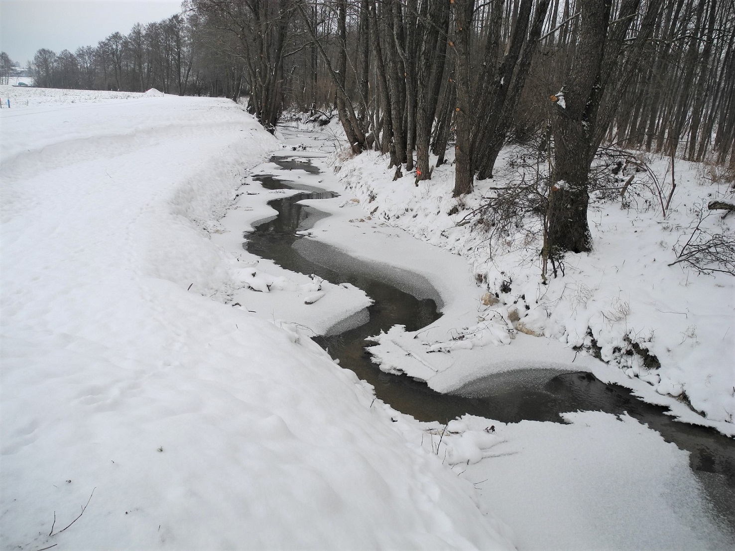 Frost im ersten Winter
Frost im ersten Winter