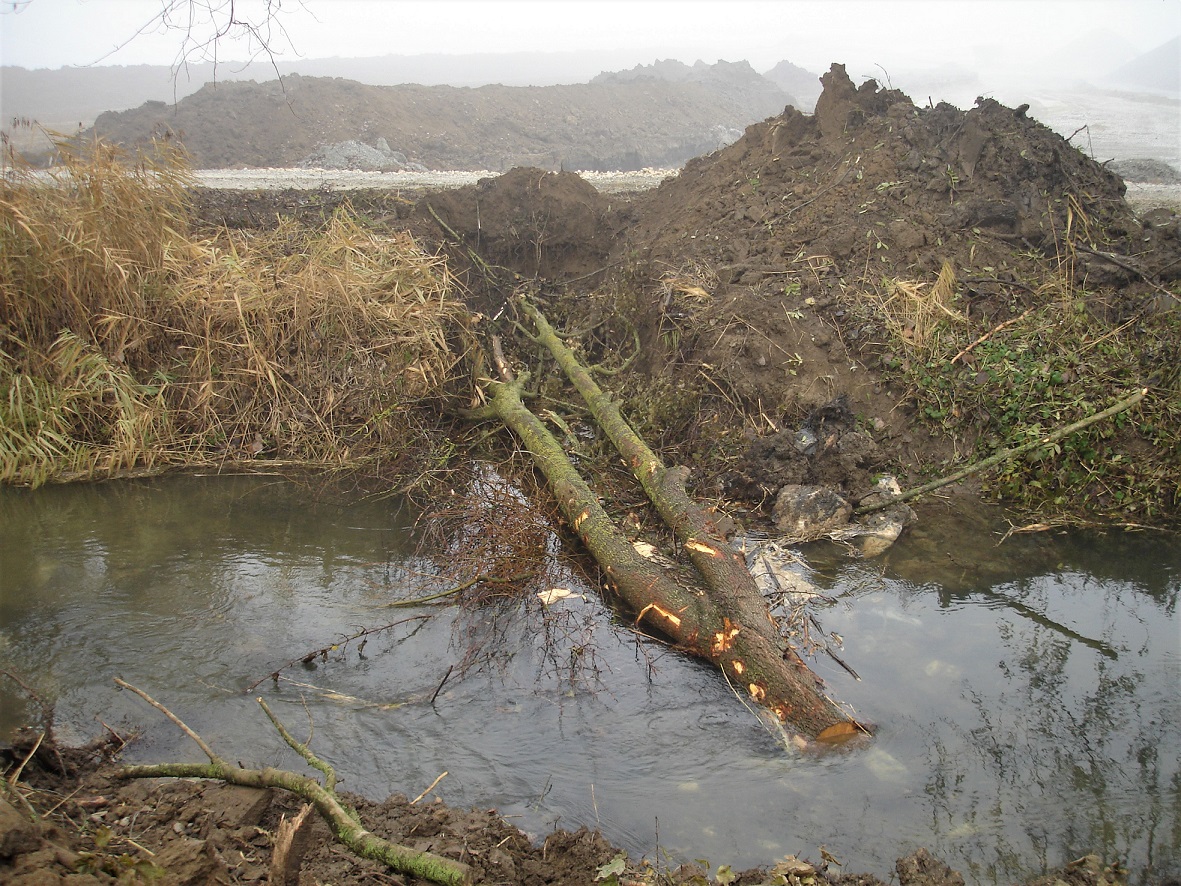 Totholzeinbau an der Glött im Winter 2011/2012 Totholzeinbau an der Glött im Winter 2011/2012 <strong>ohne</strong> Totholzeinbau an der Glött im Winter 2011/2012