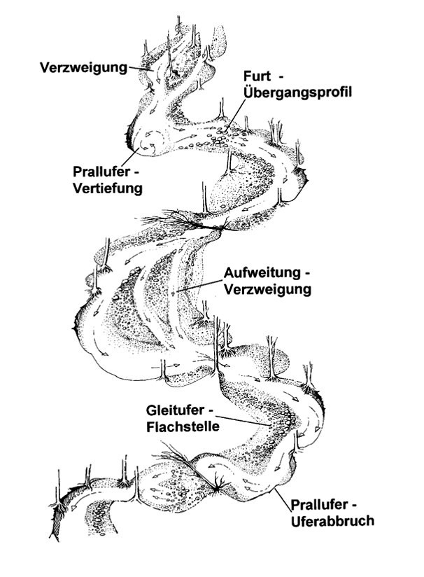 Schemazeichnung eines dynamischen Gewässers, Quelle: LfW (Geipel, verändert) Schemazeichnung eines dynamischen Gewässers, Quelle: LfW (Geipel, verändert) <strong>ohne</strong> Schemazeichnung eines dynamischen Gewässers, Quelle: LfW (Geipel, verändert)
