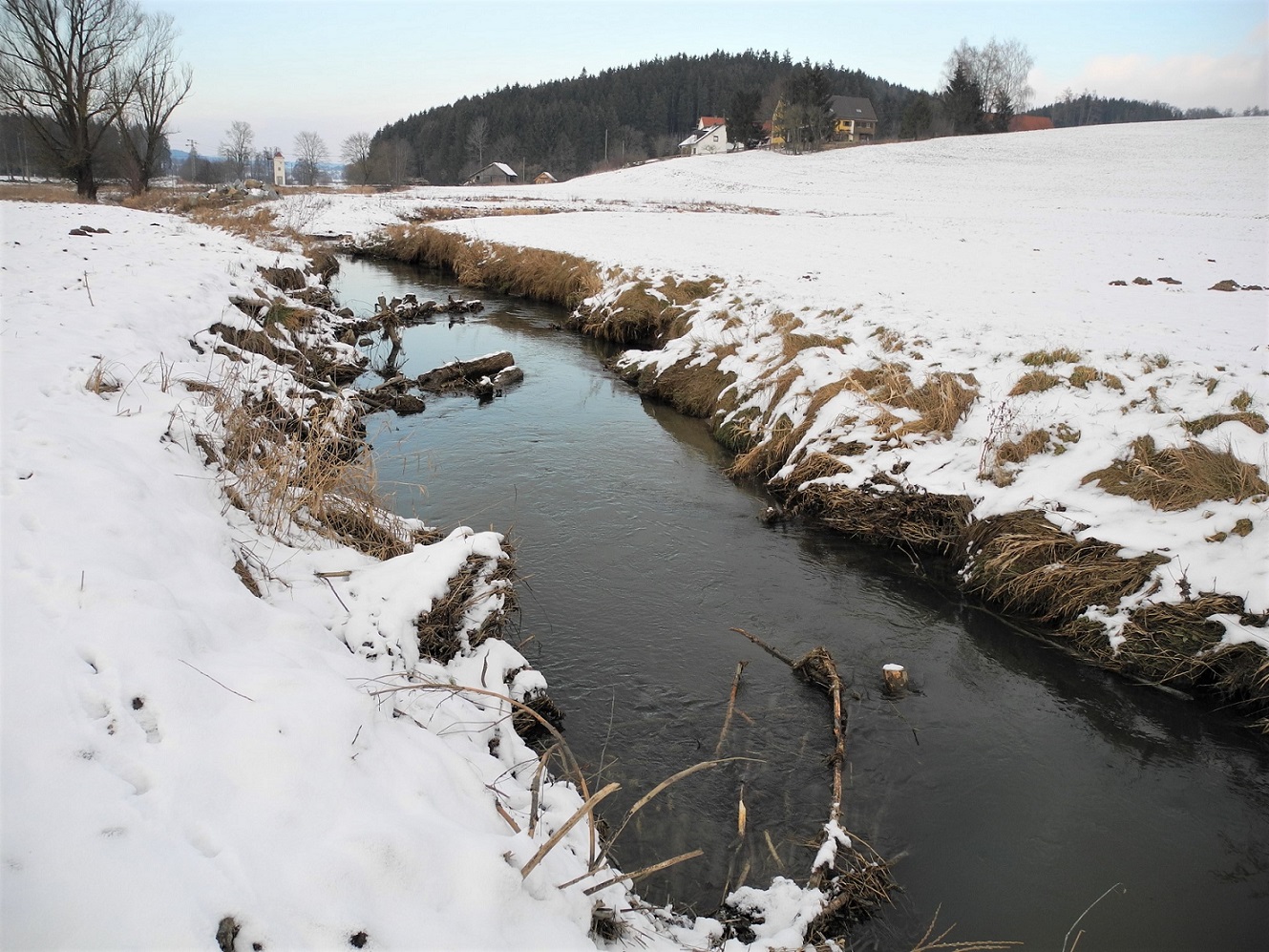 Entwicklung im Januar 2016 Entwicklung im Januar 2016