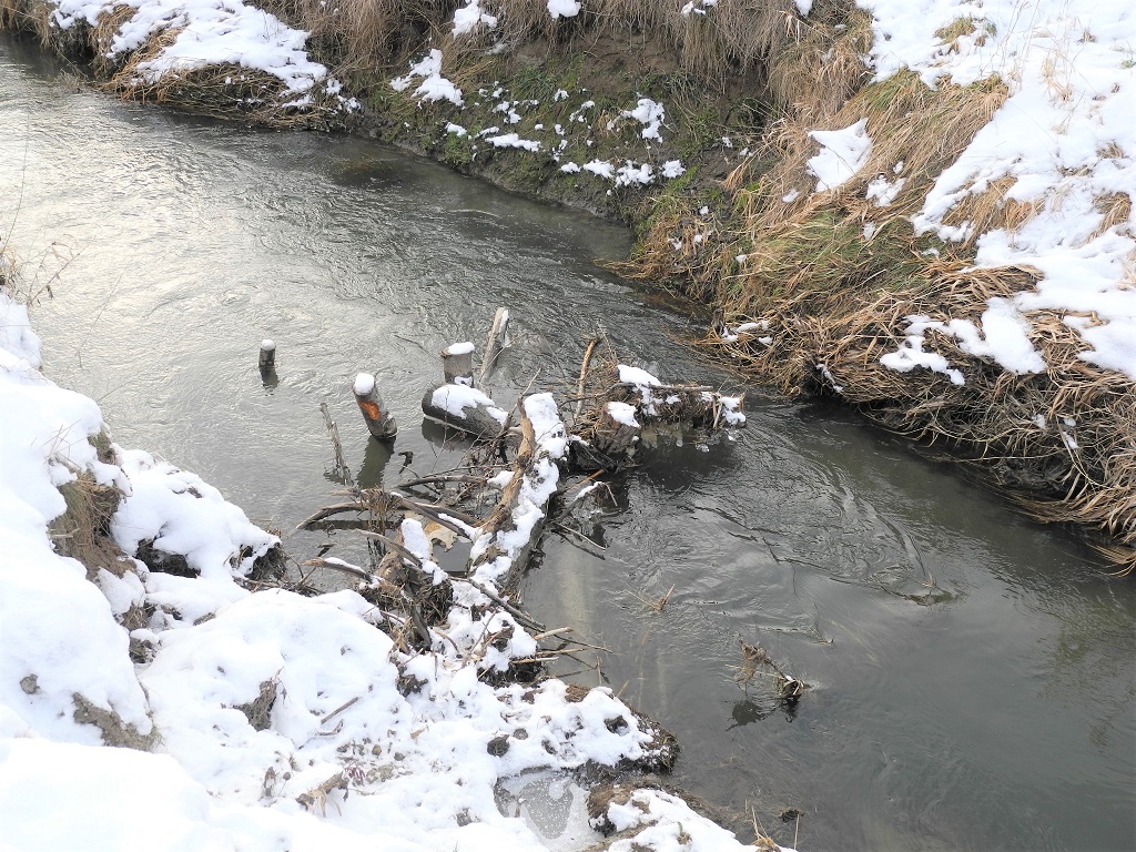 Entwicklung im Januar 2016 Entwicklung im Januar 2016
