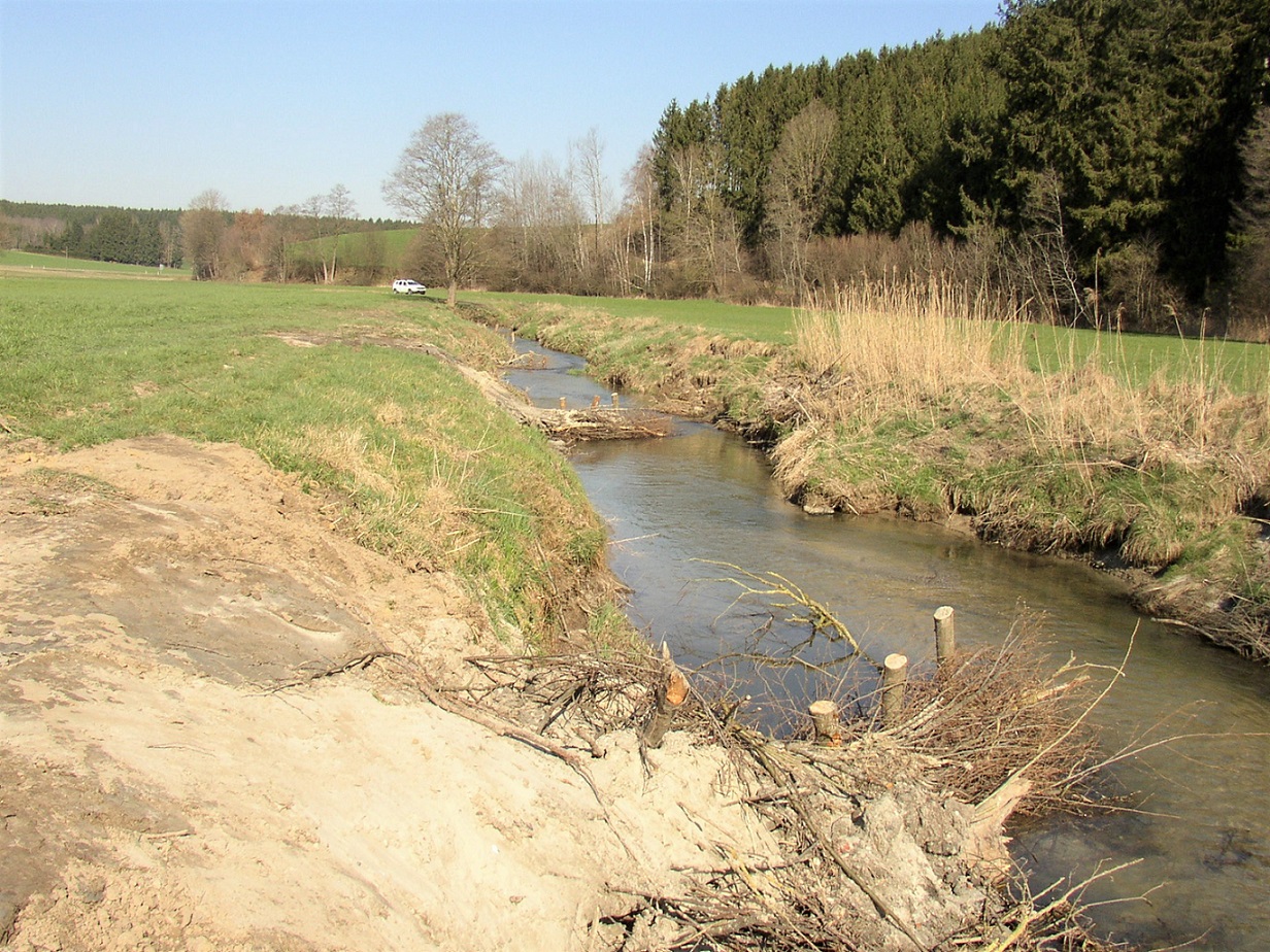 Einbau März 2020: je nach Verfügbarkeit von Totholz sehen die Leitwerke anders aus. Einbau März 2020: je nach Verfügbarkeit von Totholz sehen die Leitwerke anders aus.