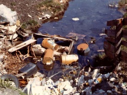 Müllablagerungen im Wasser